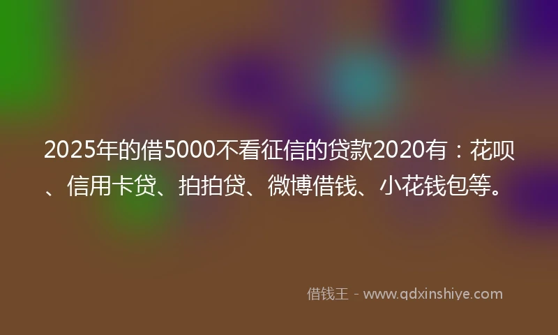 2025年的借5000不看征信的贷款2020有：花呗、信用卡贷、拍拍贷、微博借钱、小花钱包等。