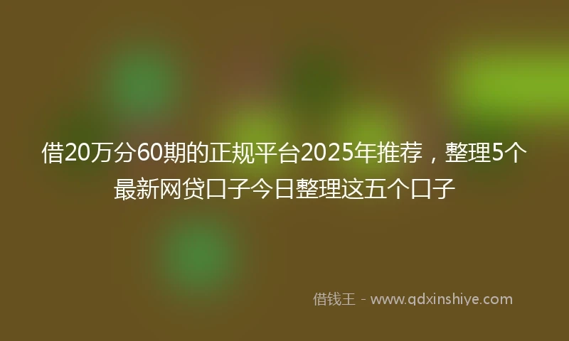 借20万分60期的正规平台2025年推荐，整理5个最新网贷口子今日整理这五个口子