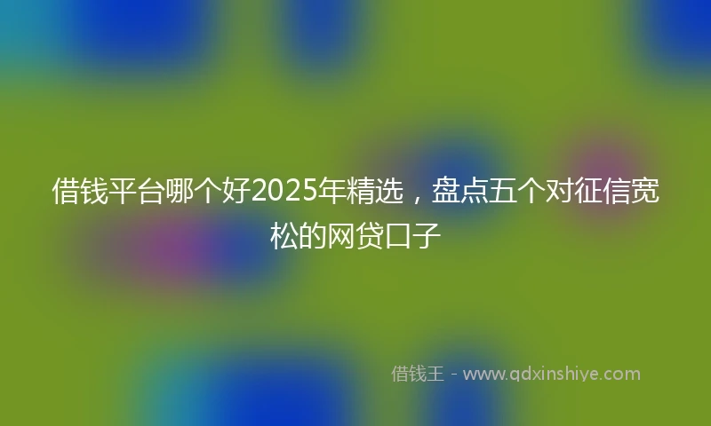 借钱平台哪个好2025年精选，盘点五个对征信宽松的网贷口子