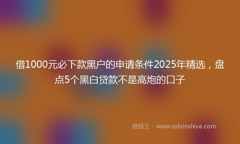 借1000元必下款黑户的申请条件2025年精选，盘点5个黑白贷款不是高炮的口子