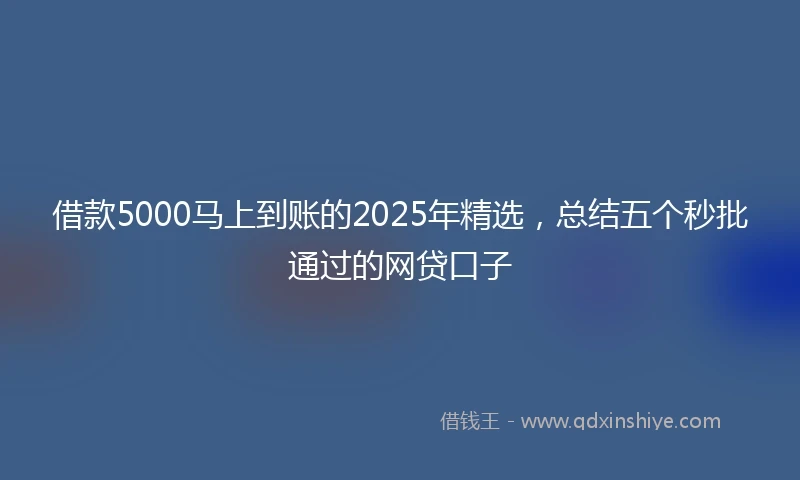 借款5000马上到账的2025年精选，总结五个秒批通过的网贷口子