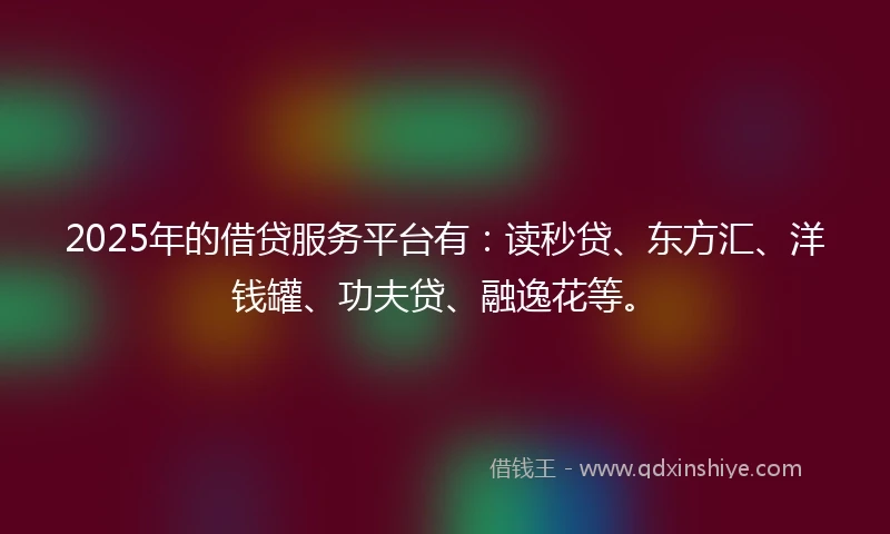 2025年的借贷服务平台有：读秒贷、东方汇、洋钱罐、功夫贷、融逸花等。