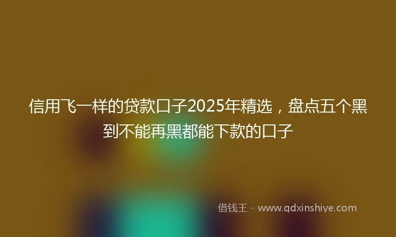 信用飞一样的贷款口子2025年精选，盘点五个黑到不能再黑都能下款的口子