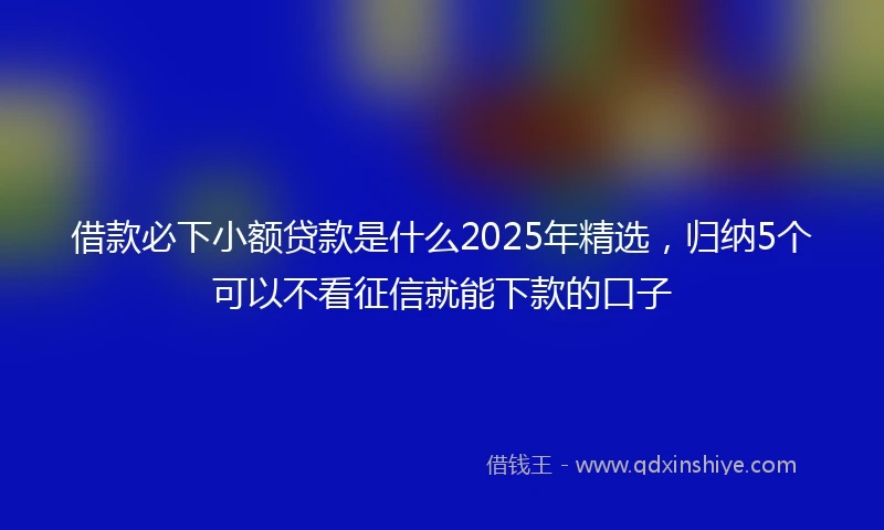 借款必下小额贷款是什么2025年精选，归纳5个可以不看征信就能下款的口子
