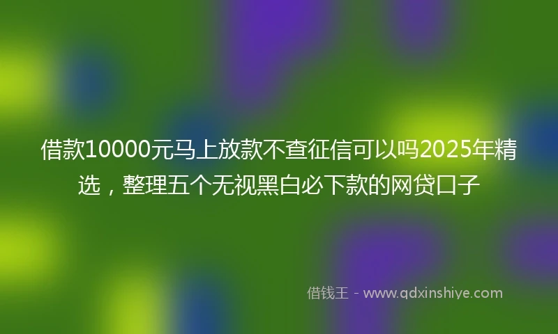 借款10000元马上放款不查征信可以吗2025年精选，整理五个无视黑白必下款的网贷口子