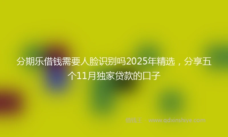 分期乐借钱需要人脸识别吗2025年精选，分享五个11月独家贷款的口子