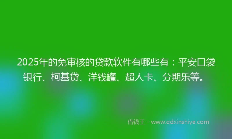 2025年的免审核的贷款软件有哪些有：平安口袋银行、柯基贷、洋钱罐、超人卡、分期乐等。