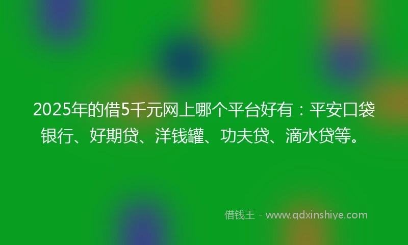 2025年的借5千元网上哪个平台好有：平安口袋银行、好期贷、洋钱罐、功夫贷、滴水贷等。