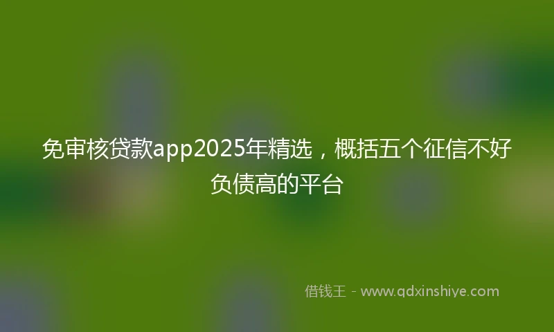 免审核贷款app2025年精选，概括五个征信不好负债高的平台