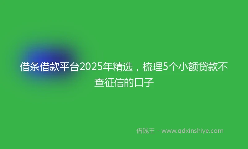 借条借款平台2025年精选，梳理5个小额贷款不查征信的口子