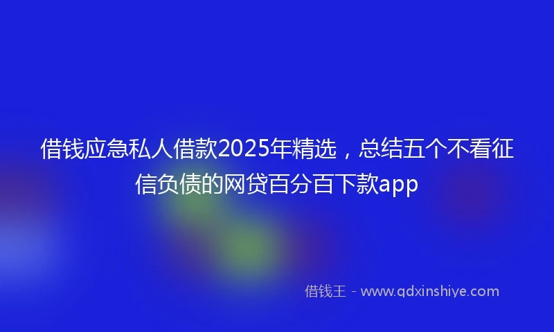 借钱应急私人借款2025年精选，总结五个不看征信负债的网贷百分百下款app
