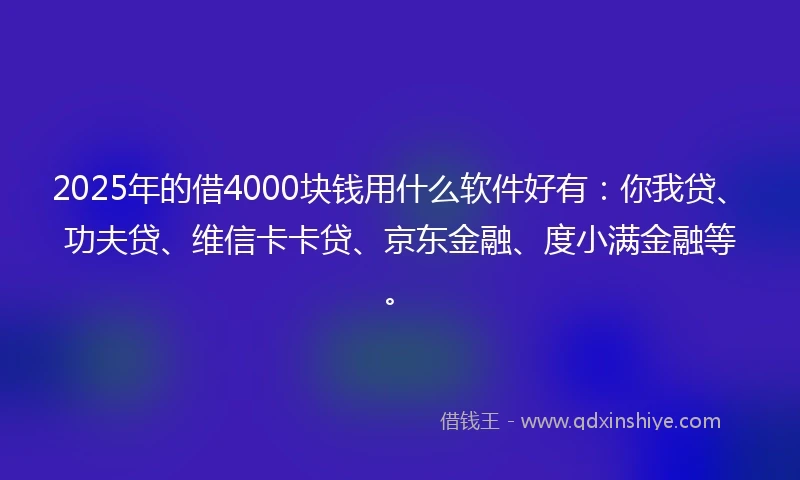 2025年的借4000块钱用什么软件好有：你我贷、功夫贷、维信卡卡贷、京东金融、度小满金融等。