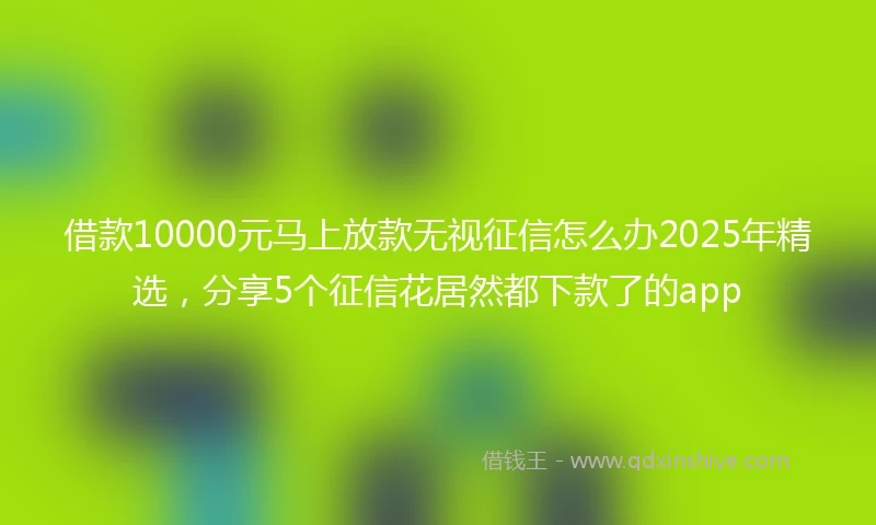 借款10000元马上放款无视征信怎么办2025年精选，分享5个征信花居然都下款了的app