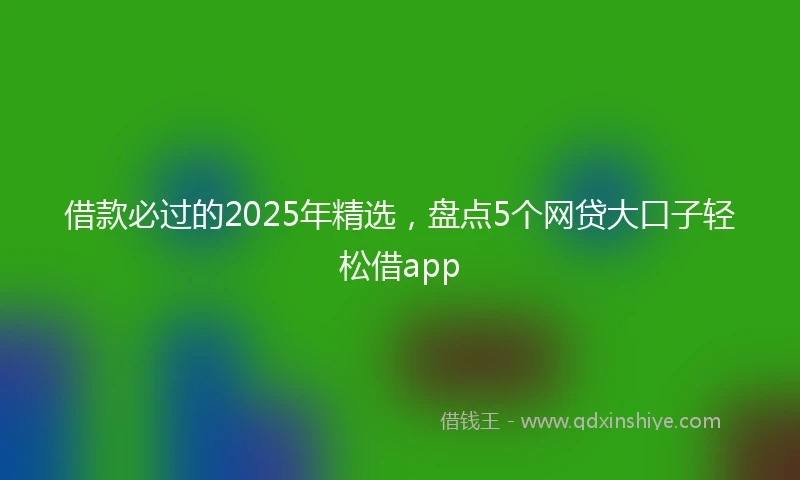 借款必过的2025年精选，盘点5个网贷大口子轻松借app