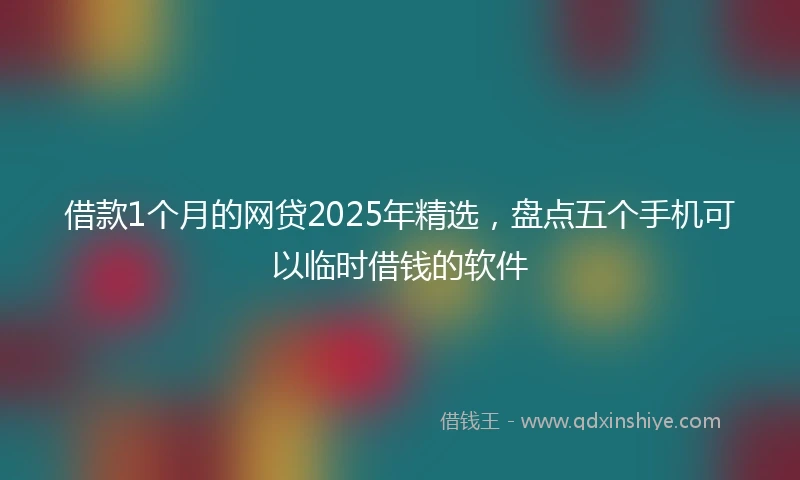 借款1个月的网贷2025年精选，盘点五个手机可以临时借钱的软件