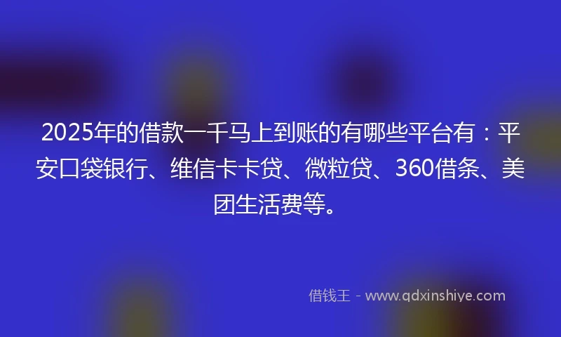 2025年的借款一千马上到账的有哪些平台有：平安口袋银行、维信卡卡贷、微粒贷、360借条、美团生活费等。
