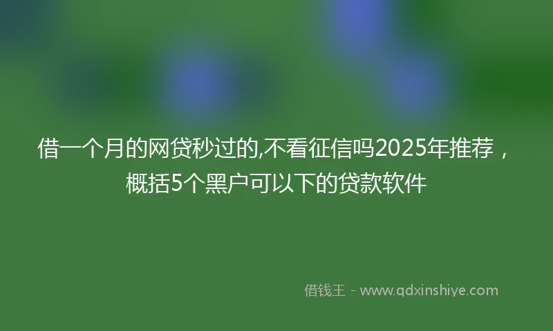 借一个月的网贷秒过的,不看征信吗2025年推荐，概括5个黑户可以下的贷款软件