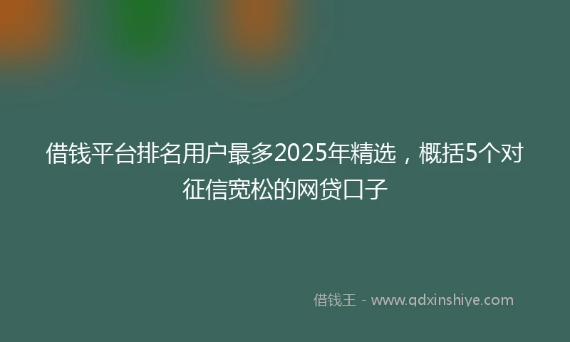 借钱平台排名用户最多2025年精选，概括5个对征信宽松的网贷口子