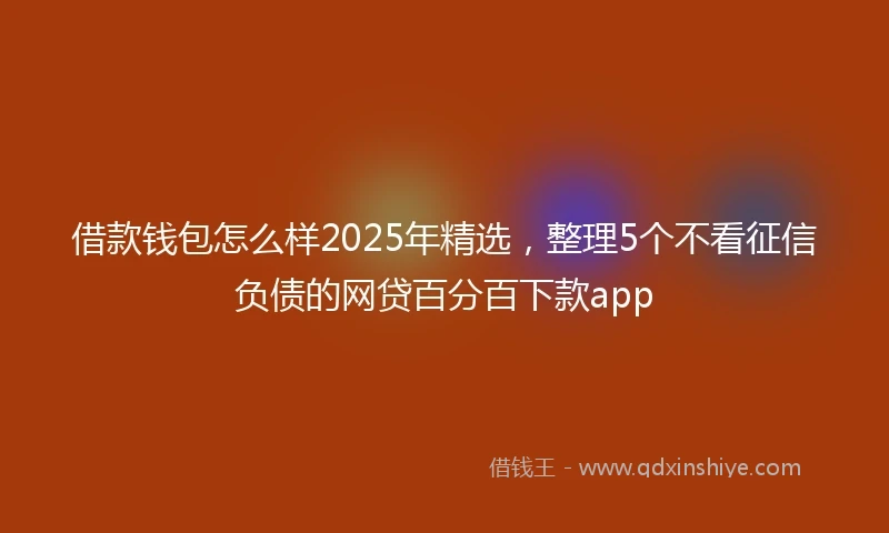 借款钱包怎么样2025年精选，整理5个不看征信负债的网贷百分百下款app