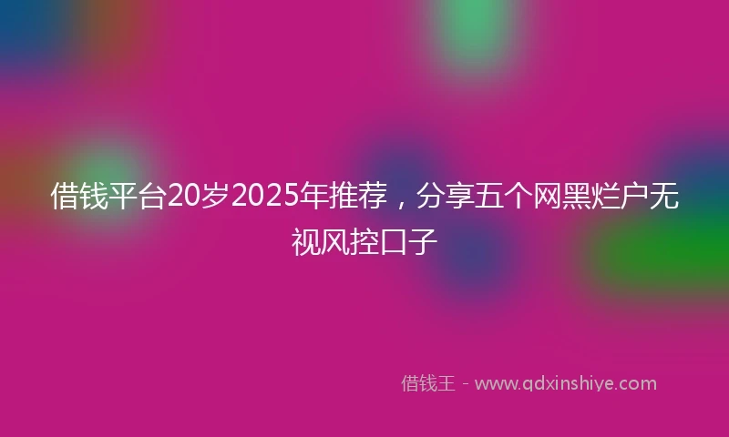 借钱平台20岁2025年推荐，分享五个网黑烂户无视风控口子