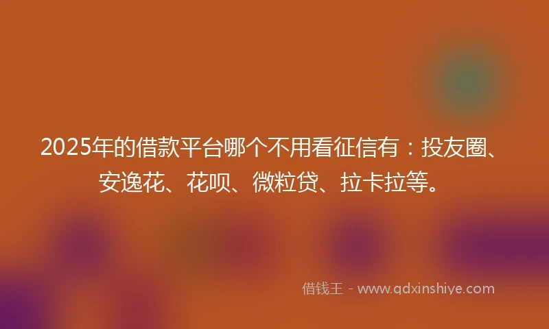 2025年的借款平台哪个不用看征信有：投友圈、安逸花、花呗、微粒贷、拉卡拉等。