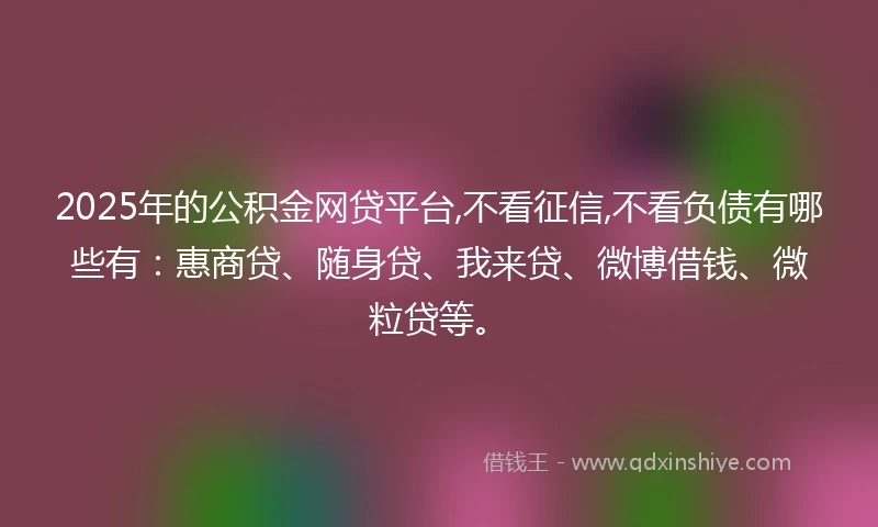 2025年的公积金网贷平台,不看征信,不看负债有哪些有：惠商贷、随身贷、我来贷、微博借钱、微粒贷等。
