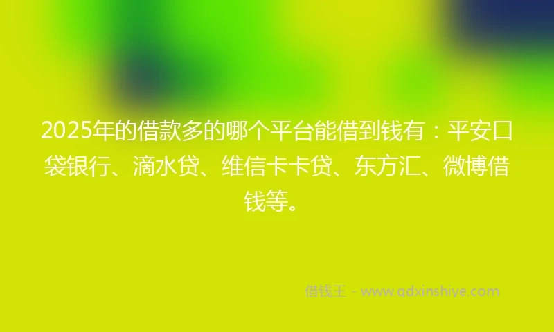 2025年的借款多的哪个平台能借到钱有：平安口袋银行、滴水贷、维信卡卡贷、东方汇、微博借钱等。