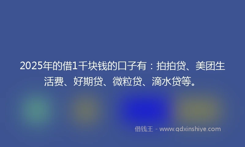 2025年的借1千块钱的口子有：拍拍贷、美团生活费、好期贷、微粒贷、滴水贷等。