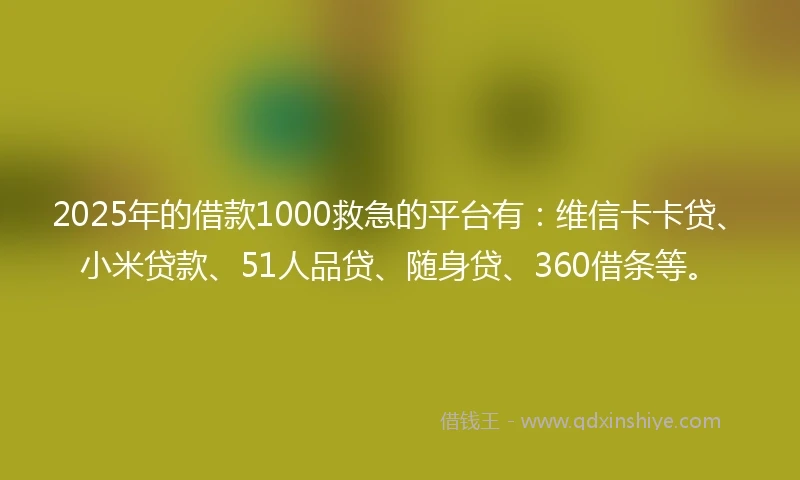 2025年的借款1000救急的平台有：维信卡卡贷、小米贷款、51人品贷、随身贷、360借条等。