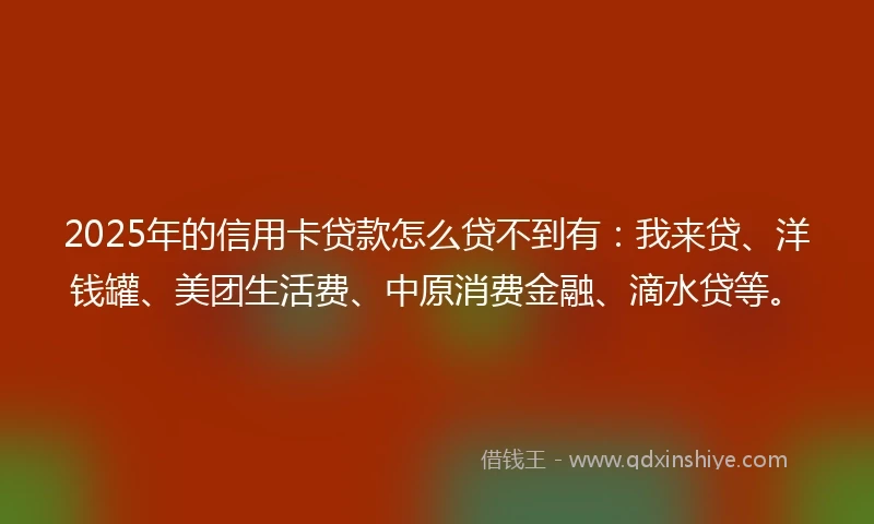 2025年的信用卡贷款怎么贷不到有：我来贷、洋钱罐、美团生活费、中原消费金融、滴水贷等。