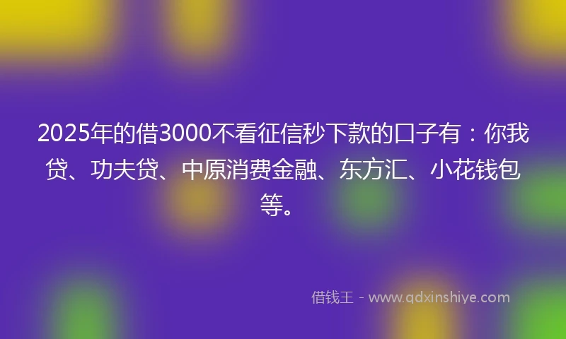 2025年的借3000不看征信秒下款的口子有：你我贷、功夫贷、中原消费金融、东方汇、小花钱包等。