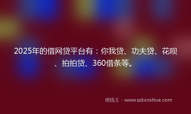2025年的借网贷平台有：你我贷、功夫贷、花呗、拍拍贷、360借条等。