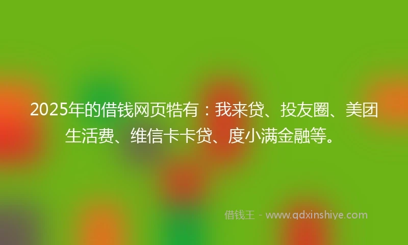 2025年的借钱网页牿有：我来贷、投友圈、美团生活费、维信卡卡贷、度小满金融等。