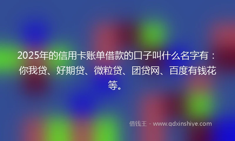 2025年的信用卡账单借款的口子叫什么名字有：你我贷、好期贷、微粒贷、团贷网、百度有钱花等。