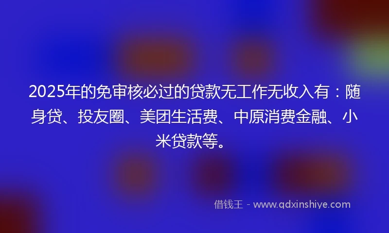2025年的免审核必过的贷款无工作无收入有：随身贷、投友圈、美团生活费、中原消费金融、小米贷款等。