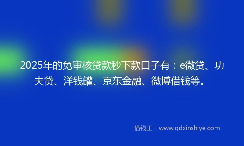 2025年的免审核贷款秒下款口子有：e微贷、功夫贷、洋钱罐、京东金融、微博借钱等。