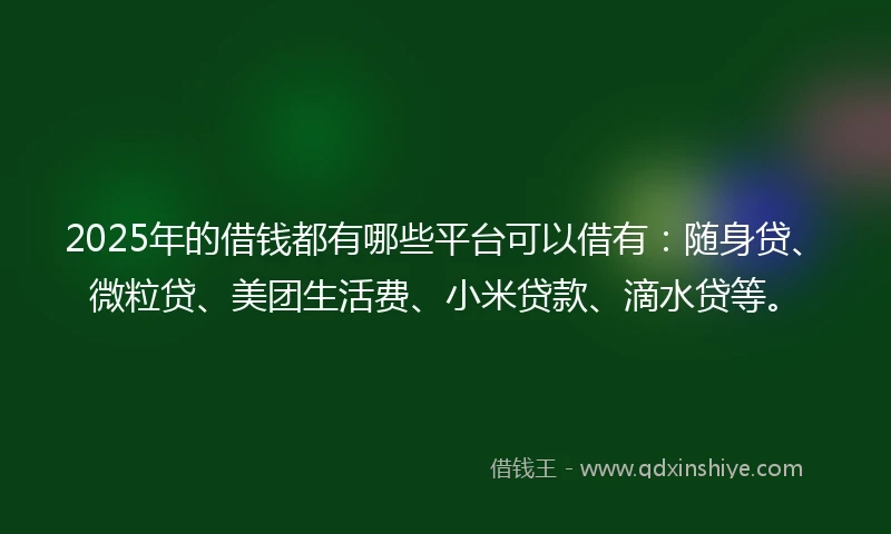 2025年的借钱都有哪些平台可以借有：随身贷、微粒贷、美团生活费、小米贷款、滴水贷等。