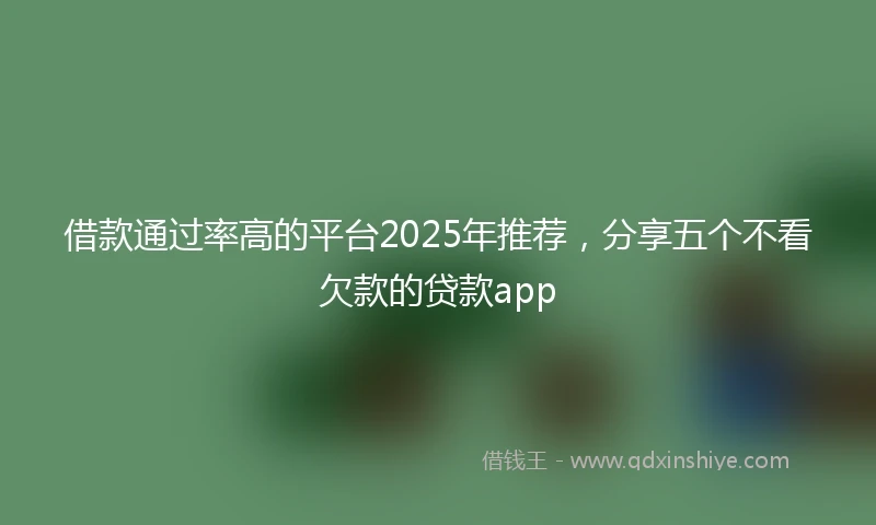借款通过率高的平台2025年推荐，分享五个不看欠款的贷款app