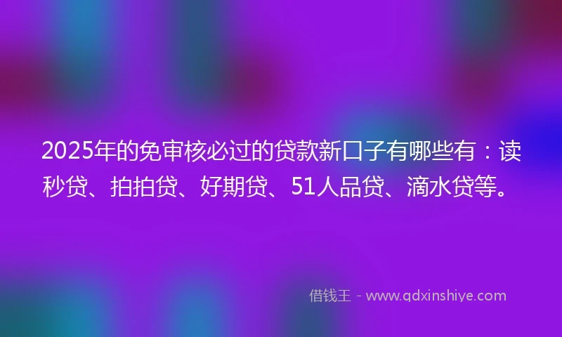 2025年的免审核必过的贷款新口子有哪些有：读秒贷、拍拍贷、好期贷、51人品贷、滴水贷等。