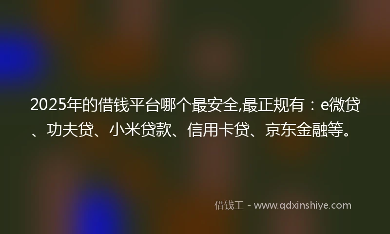 2025年的借钱平台哪个最安全,最正规有：e微贷、功夫贷、小米贷款、信用卡贷、京东金融等。