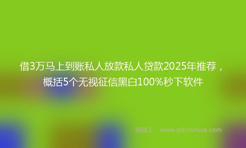借3万马上到账私人放款私人贷款2025年推荐，概括5个无视征信黑白100%秒下软件