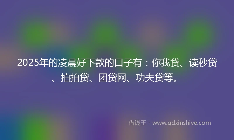 2025年的凌晨好下款的口子有：你我贷、读秒贷、拍拍贷、团贷网、功夫贷等。