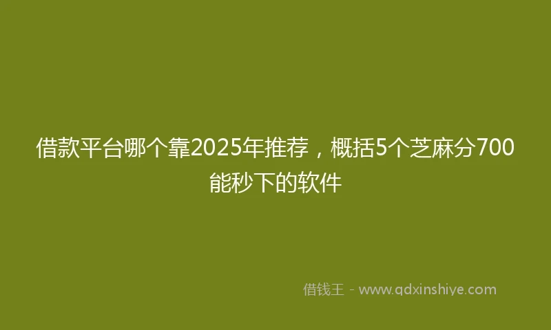 借款平台哪个靠2025年推荐，概括5个芝麻分700能秒下的软件