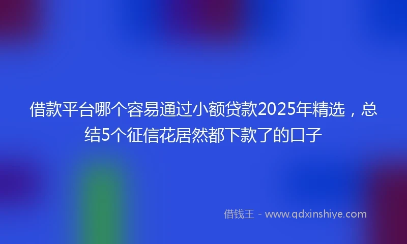 借款平台哪个容易通过小额贷款2025年精选，总结5个征信花居然都下款了的口子