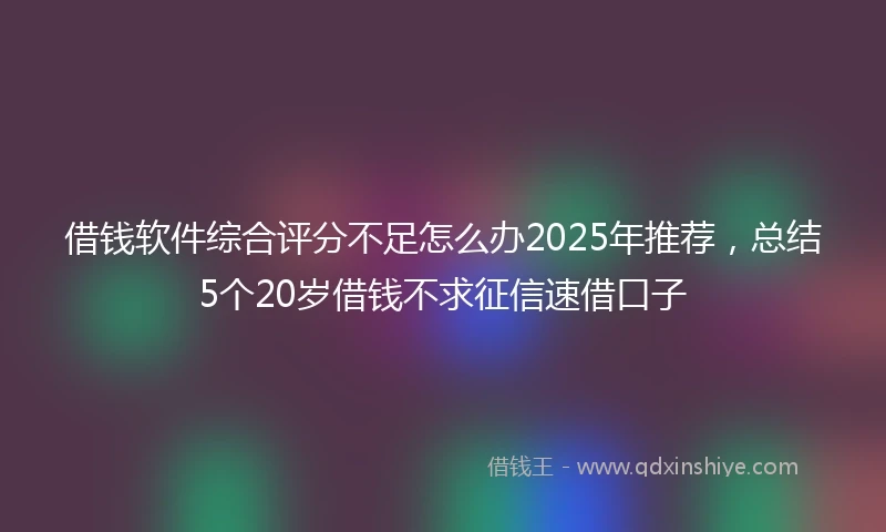 借钱软件综合评分不足怎么办2025年推荐，总结5个20岁借钱不求征信速借口子