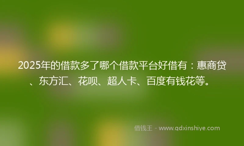 2025年的借款多了哪个借款平台好借有：惠商贷、东方汇、花呗、超人卡、百度有钱花等。