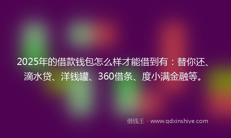 2025年的借款钱包怎么样才能借到有：替你还、滴水贷、洋钱罐、360借条、度小满金融等。