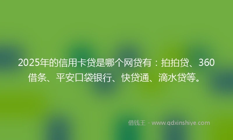 2025年的信用卡贷是哪个网贷有：拍拍贷、360借条、平安口袋银行、快贷通、滴水贷等。