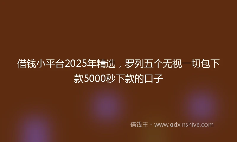 借钱小平台2025年精选，罗列五个无视一切包下款5000秒下款的口子