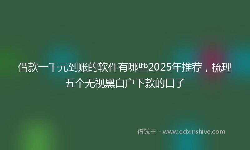 借款一千元到账的软件有哪些2025年推荐，梳理五个无视黑白户下款的口子